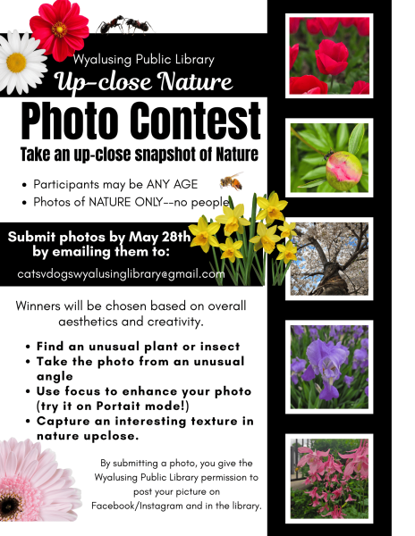 Photo Contest