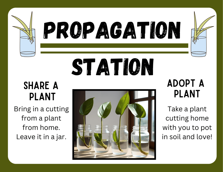 Propagation